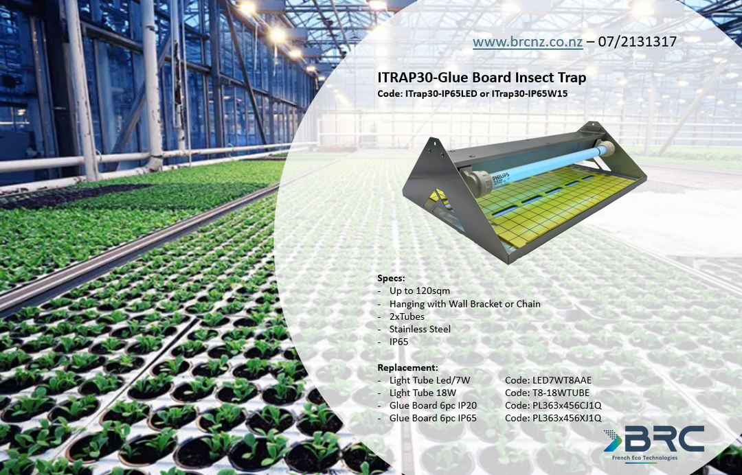 ITRAP 30 - UV-A Glue Board Insect Light IP65- Stainless Steel