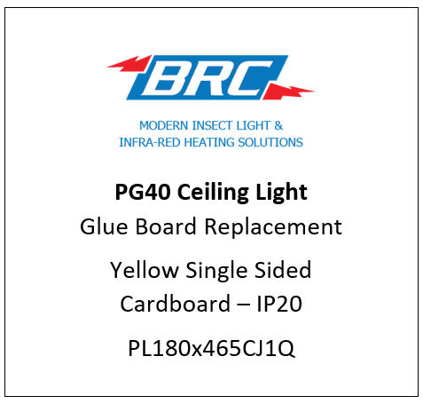 PG40 Ceiling Light 